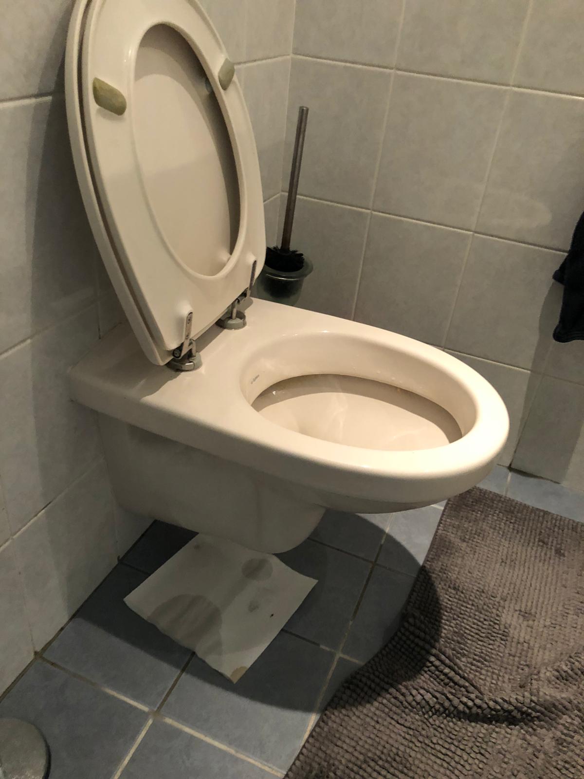 hangtoilet Wormer